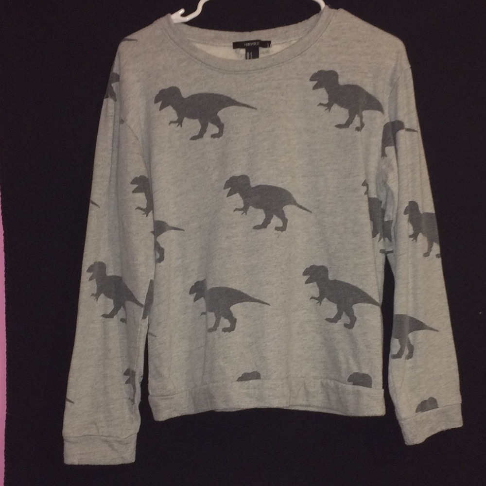 Forever 21 dinosaur sweater